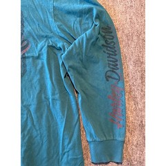 Harley Davidson Chandler Arizona Rattlesnake Long Sleeve T-Shirt Teal Mens XL
