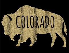 Buffalo From Colorado Game Day T-Shirt