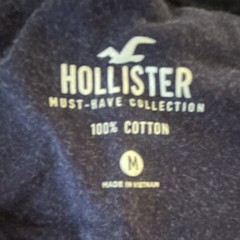Hollister Must-Have Collection Men’s Blue Gradient Logo Cotton Crew Tee M