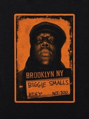 Brooklyn Mint Biggie Smalls 9 Panel Mug Shot Graphic T-shirt Men L Rap Tee VTE