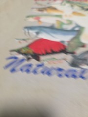 Vintage The Wild Side Shirt L Fish Collage Wild Outdoors Natural Wonders 90s