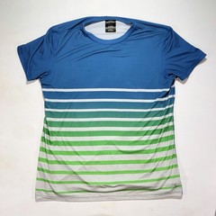 American Eagle Outfitters AE Active Flex Men’s Blue Green Striped T-Shirt