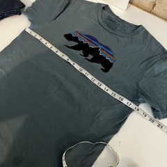 Patagonia Mens Slim Fit Small Teal Green Graphic Tshirt Bear Logo Hiking Outdoor