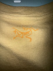 Arc’teryx Graphic Logo Crew Neck Short Sleeve T-Shirt L Brown