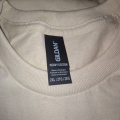 Gildan Short Sleeve T-Shirt, 2 XL