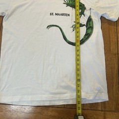 Iguana St. Maarten Stanley Michael Lizard Graphic T Shirt Large Caribbean Ts