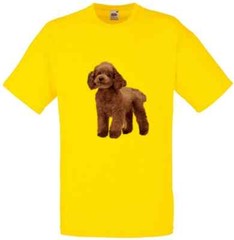 Cockapoo Dog Brown Pet Family Novelty T Shirt Various Colours And Sizes