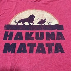 Disney The Lion King Hakuna Matata Simba Timon Pumba Graphic T Shirt XL