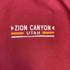 Zion Canyon National Park Utah T Shirt Men’s Large Red Knit Cottton*