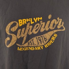 Brooklyn Superior Legendary Riders T Shirt Mens Size Large Gray Air & Rainbow
