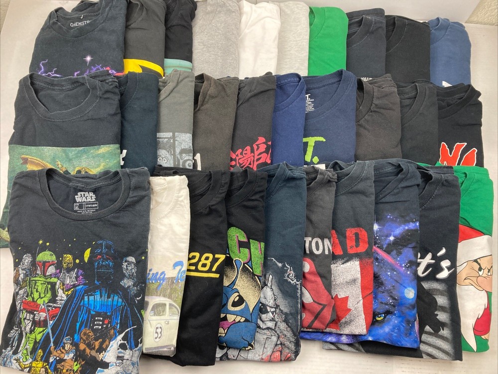 Wholesale Lot of 30 Graphic Short Sleeve Tee Shirts (Size Breakdown in Desc)