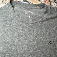 Hollister Men’s Gray Logo Cotton Knit Crew Neck Short Sleeve Must-Have Tee M