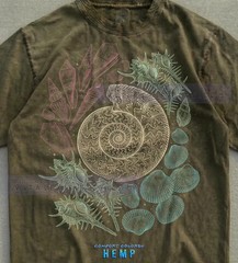 Vintage Seashell Ammonite Marine Life Comfort Tee