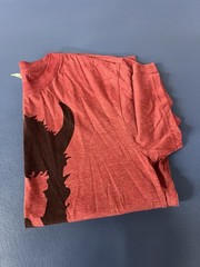 Warrior Dash Men’s Short Sleeve T-Shirt Size Large Burgandy Cotton Blend