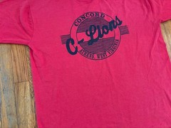 Vintage 90s Single Stitch Concord University Mountain Lions T-Shirt Men’s XL