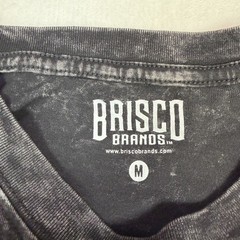 Brisco Brands Men’s Graphic T-Shirt Size M Black Owl Fleur-de-lis Print Casual