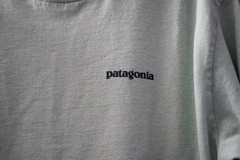 Patagonia Responsibili-Tee Men’s M Sage Green Cotton Crew Neck Logo Graphic Tee