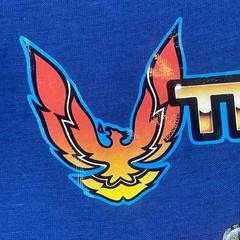 Vintage 80s 90s Trans Am Shirt Mens S Super Screen Stars USA Pontiac Firebird