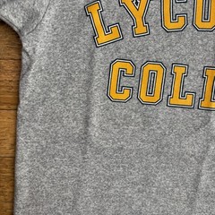 Vintage 90s Lycoming College Shirt Gray Cotton Rayon Size Small