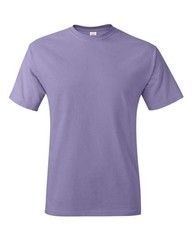 Hanes 5250 Unisex Authentic T-Shirt