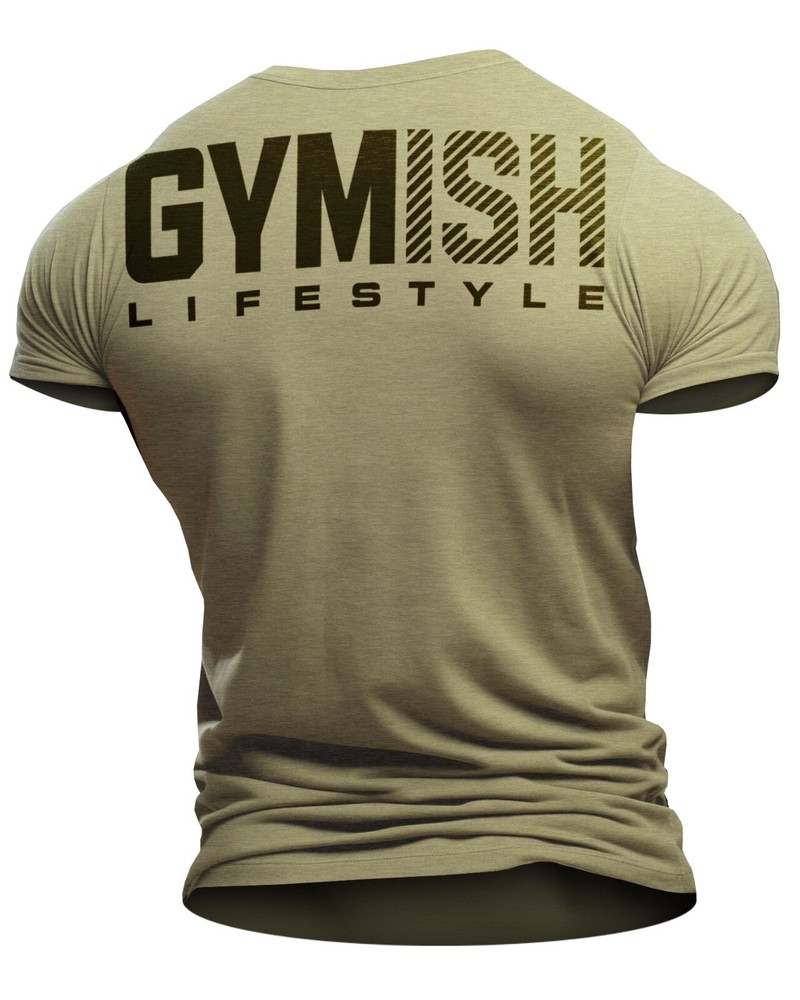091. Gymish Lifestyle Back design Funny Workout Gym T-Shirt for Men