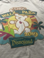 Disneyland 2019 Choc Walk in the Park cotton t-shirt ‘ Size M stains as shown