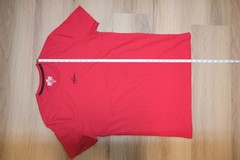 Mens Medium Hollister Must Have Collection Red Sleeveless Tee Shirt