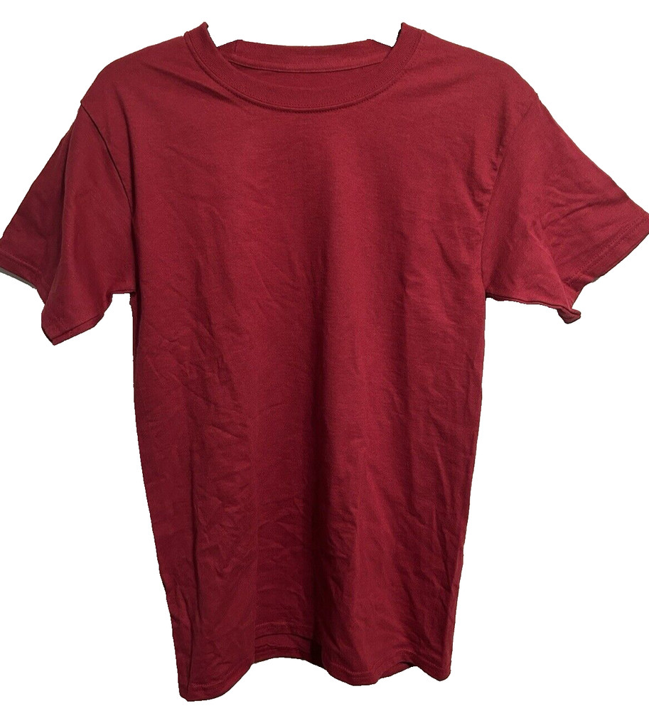 Hanes Authentic-T Men’s Plain Crewneck Short Sleeves T Shirt 5250