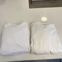 Fruit Of The Loom & Gildan T-shirt Lot Of 17 – NEVER WORN – Blank – Sizes Vary