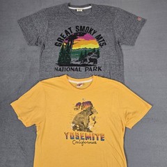 Homage National Park T Shirt Lot Of 2 Mens Medium Yosemite Great Smoky USA Made
