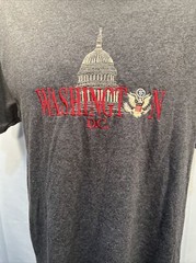 Washington DC Embroidered Logo Delta Pro Weight Mens T-Shirt XL Dark Gray