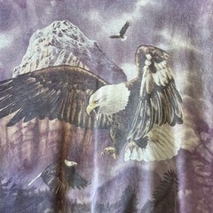 The Mountain Tie-Dye Bald Eagle Distressed Faded Purple T-Shirt XL