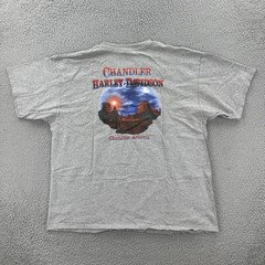 Vtg Harley-Davidson Motorcycles Mens XL Gray Pocket T Shirt Chandler Arizona Y2K