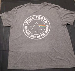 Pink Floyd Dark Side Of The Moon Grey T-Shirt Mens 2X