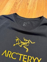 Arc’teryx Logo T-Shirt Black Men’s Medium M | Graphic Tee Gorpcore