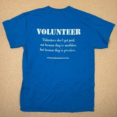 Gildan Heavy Cotton Priceless Pets Rescue Volunteer T-Shirt Blue Size M
