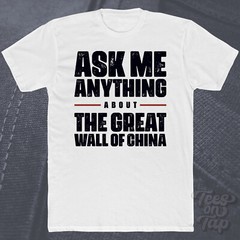 ASK ME ANYTHING ABOUT THE GREAT WALL OF CHINA T-SHIRT history travel ancient