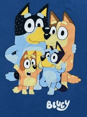 Bluey Family Group Children’s Learning Series Graphic T-Shirt Cartoon Blue M