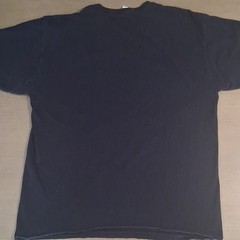 Fruit of the Loom Men’s Black Graphic Tee L Grey Wolf Art Cotton Crew Neck