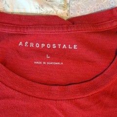 Aéropostale Men’s Single Stitch Pacific Northwest Nature Graphic Tee Size L
