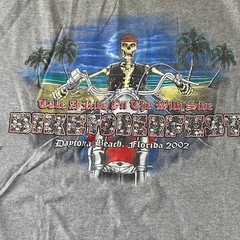 Biketoberfest Daytona Beach 2002 T-Shirt XL Grey Halloween Biker Wild Side XL