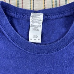 Delta Roots Country Festival Shirt Mens 2XL Purple Volunteer Helena Arkansas