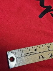 Champion Classic Jersey Script T-Shirt Scarlet Size 2XL