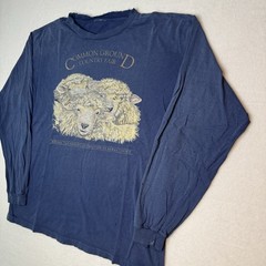 Vintage Thrashed 2002 Common Ground Country Fair Shirt Mens XL Liberty Graphics
