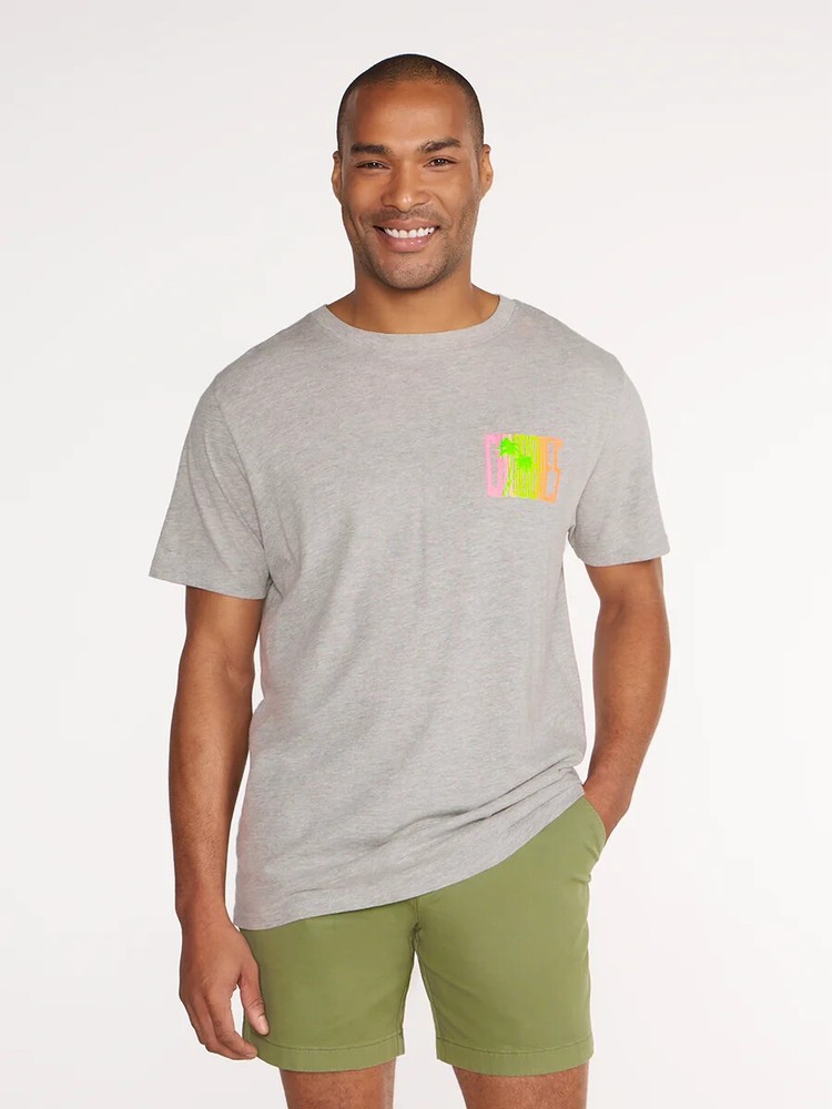 CHUBBIES MENS THE SHADY PALM T SHIRT GREY SIZE XL NWT