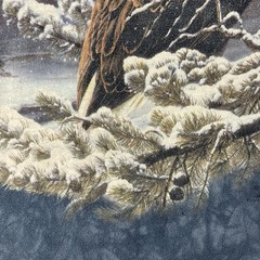 Nature Shirt Mens Large Bald Eagle Winter Scene Washed Blue The Mountain