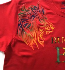 Men’s Bucheli T Shirt,Soft Cotton,Stretch,Italian Style L XL…..B2.B