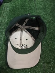 ALLEN PARK Jaguars Panthers YOUTH Adjustable strap Green