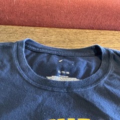 West Virginia University Adult T-Shirt Distressed Primary Logo, Navy, S-5XL