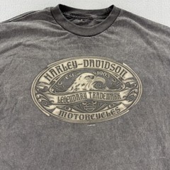 Harley-Davidson Shirt Mens Large Gray Eagle Legendary Trademark Biker 2007 Tee